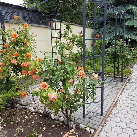 In Balaton 37918 Apartmán Siófok